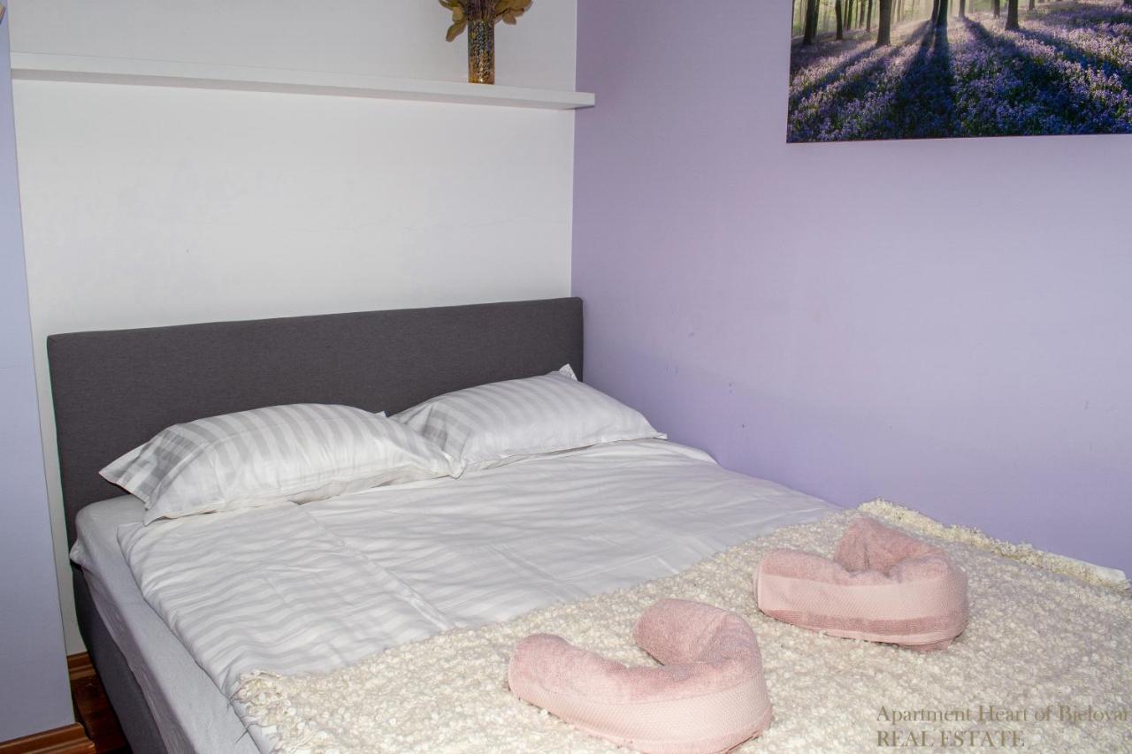 Apartment Heart Of Bjelovar Exterior photo